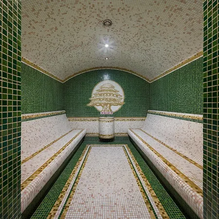 святий шарбель 5*