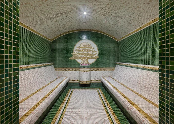 святий шарбель 5*